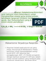 Respirasi tumbuhan • respirasi adalah suatu proses pembebasan energi yang tersimpan dalam zat sumber energi melalui proses kimia dengan menggunakan oksigen. Fotosintesis Dan Respirasi Ppt