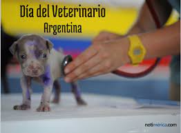 22 de febrero día de la antártida argentina izam. 6 De Agosto Dia Del Veterinario En Argentina Por Que Se Celebra