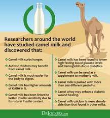 Camel milk is one of those rare functional foods that helps us manage our diabetes better. Camelicious Camel Milk