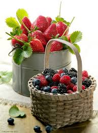 Forgotten Souvenirs Art Et Cuisine Fruits Et Legumes Fruits D Automne