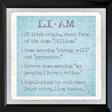 Graffitee Studios Baby Name Boys Liam Framed Textual Art Cool Baby Names Baby Boy Names Baby Names