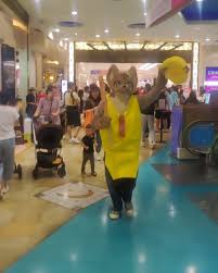 Dokin Ruklau ki aliag(香蕉貓鯊)🍌🐱🦈 貓鯊阿克:萬聖節快樂🎃!來呷Dokin🍌吧0ω0  如果是桃園Dokin,我請他吃球棒(*ﾟ∀ﾟ) 攝影: @milk_tea_ya_910809 #fursuiteveryday #fursuit  #furry #kemono #ケモノ#萬聖節#萬聖節快樂#