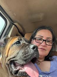 Stormy the adorable aussie