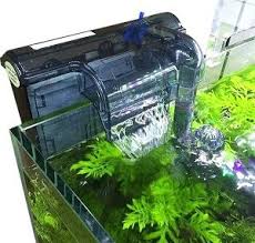 25 macam tumbuhan aquascape peneman bonsai aquarium. 8 Tips Menghias Aquarium Untuk Berbagai Jenis Ikan Rumahlia Com