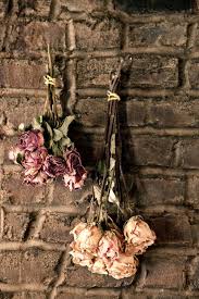 Flat faced flowers do better if they are placed upside down. Not Found Dried Flowers Drying Roses Flowers