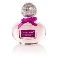 Black Amethyst Bath And Body Works Dupe Coach Poppy Flower Fragrance Flower Perfume Perfume