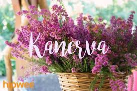 Check spelling or type a new query. 14 Inspirasi Nama Bayi Perempuan Berdasarkan Nama Bunga Mancanegara Unik Cantik Dan Belum Pasaran