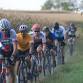 Harvest Rush 2026