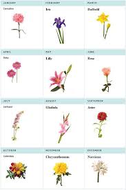 Daffodil For March Rose For June Larkspur For July And Chrysanthemum For November Birth Flower Tattoos Birth Month Flowers Birth Flowers