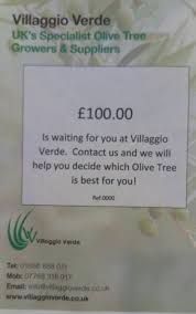Instead, check out our list of holiday gift cards for inspiration. Villaggio Verde Gift Card 100 Olive Trees Supplier Villaggio Verde