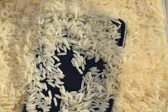 can-oil-damage-your-phone