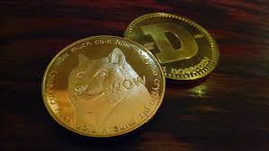 All these projects which we are including in this list have vc investment backing. Analytical Reasons Why Doge Is Not A Long Term Crypto To Invest In Blockchainreporter