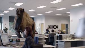 Geico hump day camel commercial happier than a camel on wednesday. Geico Hump Day Camel Commercial The Location Portal