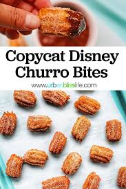 Churros Bites Copycat Disney Recipe Recipe In 2020 Recipes Easy Churros Recipe Churros