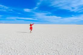 We appreciate your understanding as we reply to all inquiries in the order we receive them. Uyuni Salt Flats Hedionda Lagoon 2 Days 1 Night Private Service Marriott
