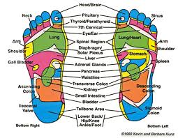 introducing reflexology