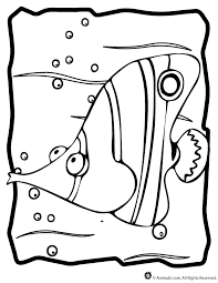 Alaska photography / getty images on the first saturday in march each year, people from all over the. Printable Angel Fish Coloring Page Tattoo Coloring Home