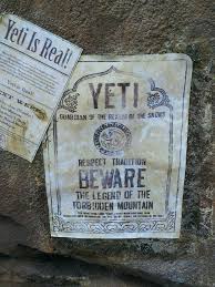 Beware The Yeti Of Expedition Everest Journal Cards Disney World Book Cover