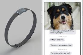 Submitted 2 days ago by araragi_monogatari. Amazing High Tech Dog Collar Could Translate Your Pooch S Barks Into Human Speech Mirror Online