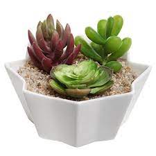 Maybe you would like to learn more about one of these? Robot Check Succulent Planters Box Design Succulents Succulent Planter