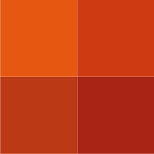Terracotta Orange Coloratching