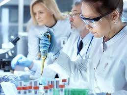 Lion parcel menawarkan 2 jenis paket pengiriman yaitu regpack dan onepack, keduanya memiliki perbedaan dari segi ongkos kirim dan kecepatan cek resi lion parcel. Kuehne Nagel Homepage Kuehne Nagel