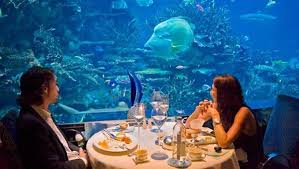 Pin By Nedaangel On Wow Underwater Hotel Underwater Hotel