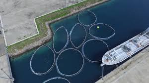 Pembangunan Kja Buatan Norwegia Dituding Tidak Nasionalis Agroindonesia