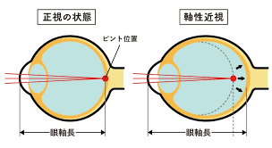 Kuriyama Eye Clinic 栗山眼科クリニック