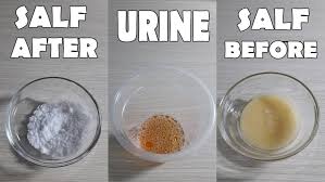 Ultimately you may be required to take a blood test, which will tell you the exact level of hcg hormone in your body. Medieval Lore Is The Salt Pregnancy Test Accurate Dubawa