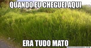 Por que as redes sociais estão tão chatas?