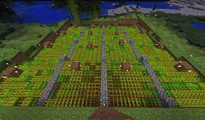 Wheat is classified as an annual type of plant. Problem With My Wheat Farm Survival Mode Minecraft Java Edition Minecraft Forum Minecraft Forum