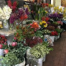 Jul 27, 2018 · effects of thc gummies. Flowers Wholesale Flower Shop In West Hollywood