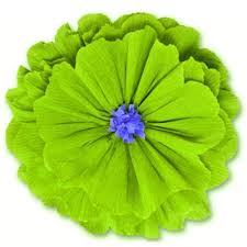 Let us take care of your flowers in tucson. Mexican Paper Flowers Fiesta Party Supplies