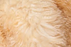 A wide variety of sheepskin baby blanket options are available to you, such as technics, material, and use. What Are The Benefits Of Using A Sheepskin Baby Blanket