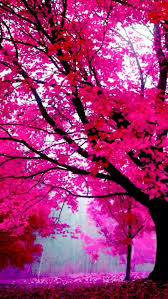 Did you scroll all this way to get facts about hot pink background? Cute Hot Pink Background 640x1136 Download Hd Wallpaper Wallpapertip