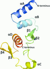 Ebola viruses cause a severe and often deadly illness known as ebola virus disease (evd; Protein Secrets Of Ebola Virus