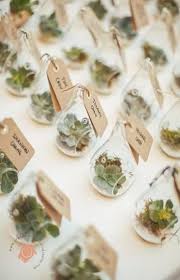 43 Trendy Wedding Table Favours Guest Gifts Terrarium Wedding Affordable Wedding Favours Succulent Wedding Decor