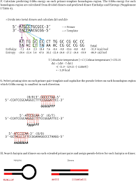 Find an attorney in new york through nyc bar legal referral service. Prediction Of Pcr Amplification From Primer And Template Sequences Using Recurrent Neural Network Scientific Reports