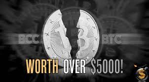 Bitcoin cash price for today is $1269.6902635618799. Bitcoin Bitcoin Cash Smash Through 5 000 Steemit