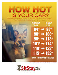 Dogs In Hot Cars Are In Extreme Danger How To Best Help A