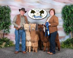 We are located in augusta, ga. Openherd Happy Tails Alpacas Is An Alpaca Farm Located In Xenia Ohio Owned By Char Rick Johnson An Alpaca Farm