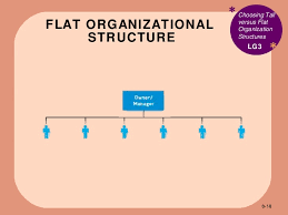 An organization's structure refers to the nature of the distribution of the units and positions within it, also to the nature of the relationships among those units and positions. Bus110 Chap 8 Adapting Organizations To Today S Markets