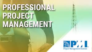 Som nævnt ovenfor bruges pmp som et akronym i tekstmeddelelser til at repræsentere pan malaysiske pools sdn bhd. Professional Project Management Pmp Knowledgecom Corporation