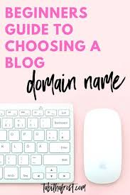 Beginners Guide To Choosing A Blog Domain Name In 2020 Domain Name Ideas Online Coaching Business Beginners Guide