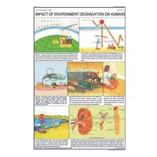 Air And Noise Pollution Chart India Air And Noise Pollution