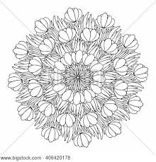 Download our printable floral mandala coloring page today! Crocus Flowers Vector Photo Free Trial Bigstock