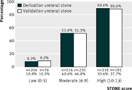 Image result for STONE Score