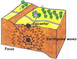 When energy is released at the focus, seismic waves travel outward from that point in all directions. Earthquake Facts