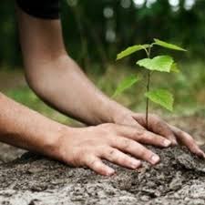 Pemanasan global merupakan fenemona alam yang berpotensi merusak kehidupan kita. Langkah Langkah Mengurangkan Kesan Pemanasan Global Osem